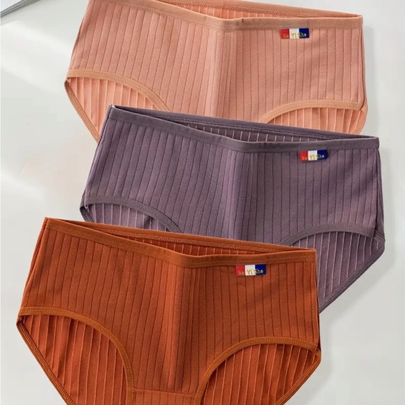 5 Pair Mid Rise Ribbed Briefs for Women - Picture 3 of 5